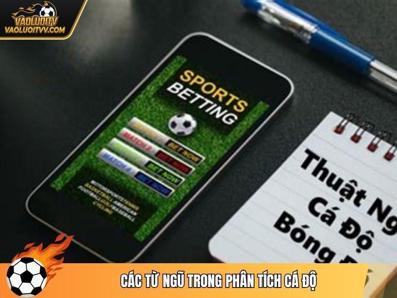 Các từ ngũ trong phân tích cá độ
