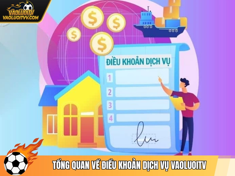 Tổng quan về điều khoản dịch vụ Vaoluoitv
