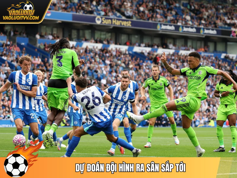 Dự đoán đội hình ra sân sắp tới