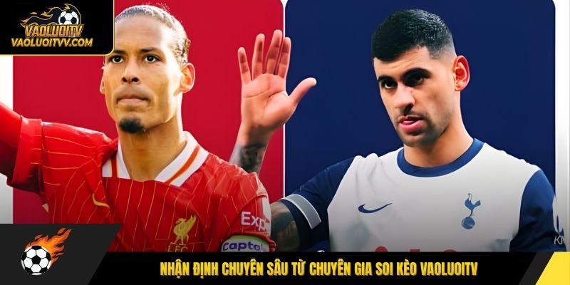 Nhận định chuyên sâu từ chuyên gia soi kèo Vaoluoitv
