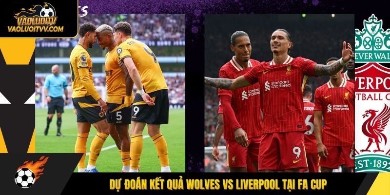 Dự đoán kết quả Wolves vs Liverpool tại FA Cup